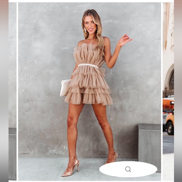 Vici Dresses & Skirts - Large Vici tulle dress